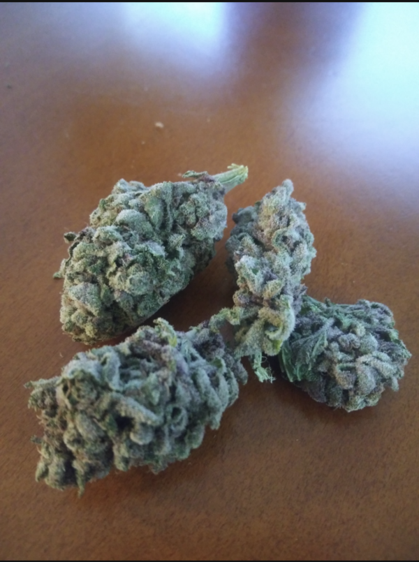 Purple Gucci