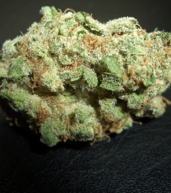 Hawaiian strain